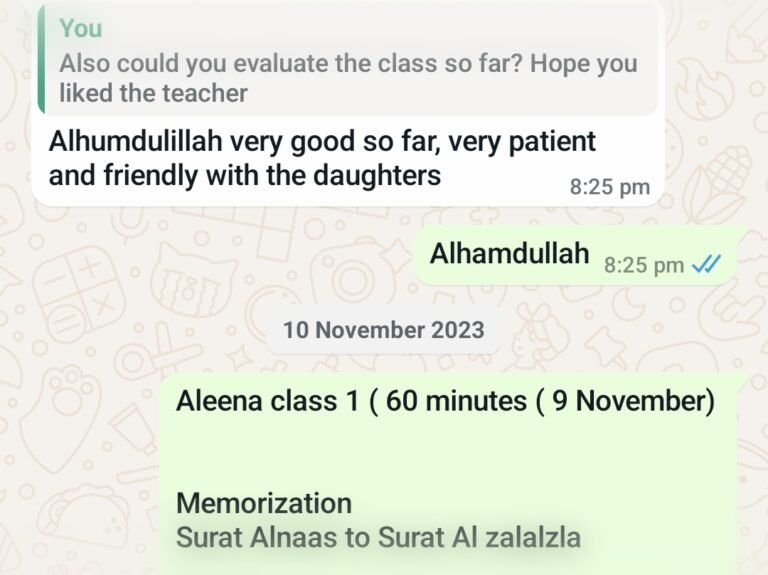 Customer WhatsApp Review 17